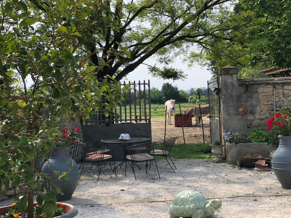 Le Clos Des Aramons Bernis エクステリア 写真
